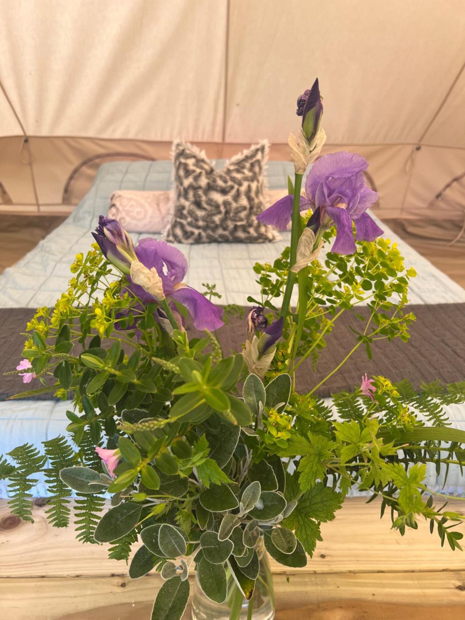 Bluebell Tent At Ballyward Croft Ardkeen Exteriér fotografie